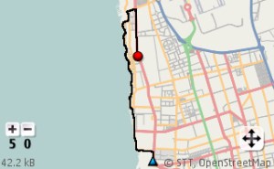 المسار الفعلي لماراثون 2011م