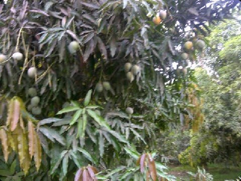 صور من إحدى المزارع التي تم الشحن منها