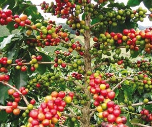 20131206-051446 pm.jpg