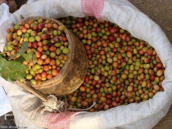 20131206-051508 pm.jpg