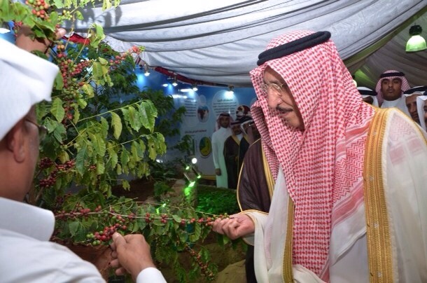 20131206-051515 pm.jpg